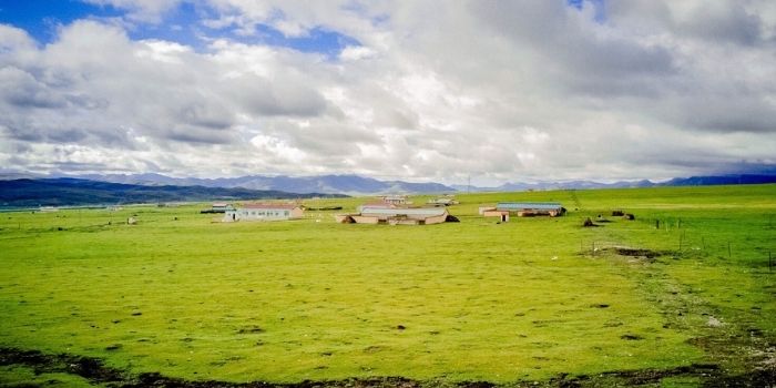 Jinyintan grassland